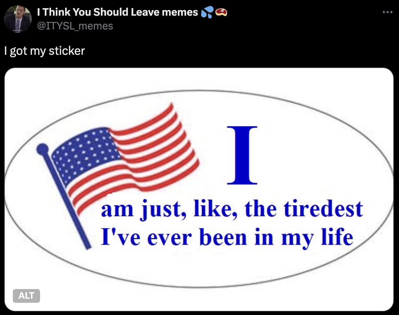 dont re elect anyone meme - I Think You Should Leave memes I got my sticker Alt I am just, , the tiredest I've ever been in my life